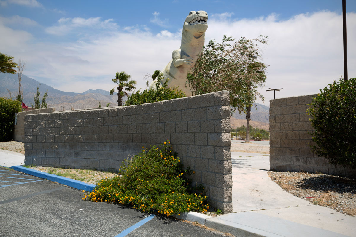 Chelsea_Darter_07_Cabazon-Dinosaurs,-Cabazon,-CA