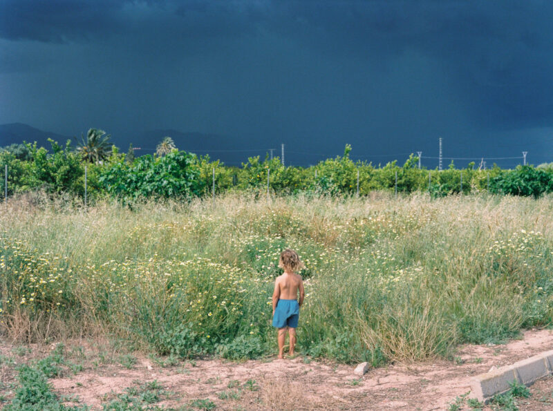 Irmina Walczak Oasis: In Our Quarantine Yard Photography 12