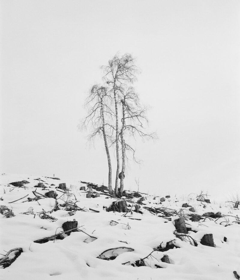 Sandro Livio Straube Berge Bleichen Photography 36