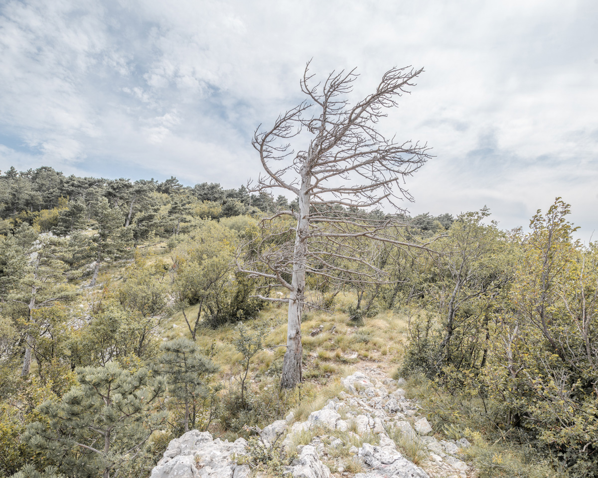 Davide Maria Palusa and wind-generated instability