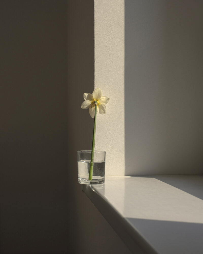 Marietta Varga The Bright Shadow C41magazine Photography 6